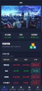 ? 2025修复 微盘黄金原油货币外汇单语言 #微盘 #黄金 #白银 #原油 #外汇 #时间盘 #投资