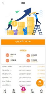 ? 海外抢单电商订单系统/手动派单/分组模式/余额宝/总代理/代理