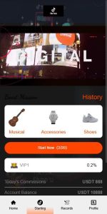 ? 海外TIKTOK抢单电商订单系统/连单卡单/前端VUE