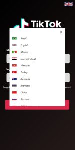 Overseas TIKTOK Order Grabbing E-commerce Order System/Multi-language E-commerce Orders/Injection/Reset Orders