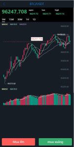 Overseas Mini Trading Platform / Vietnam Micro Trading / Cryptocurrency Futures Trading