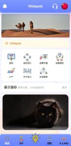 Overseas Pet Investment Finance System / Multi-language Investment / Frontend Vue