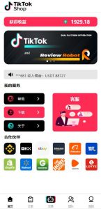 ? 2025多语言tiktok抢单_海外tiktok电商订单_分组_打针_前端vue