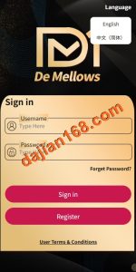 Overseas Mall Rush Order E-commerce Order System / Preset Orders / Reset Orders / Check-in