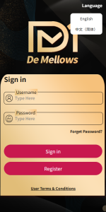Order Grabbing and Order Brushing System Setup Guide: Functional Module Details and Operation Key Points
