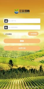 Cross-Border E-Commerce System Setup Guide: Multi-Language Store + Payment + Logistics Integration