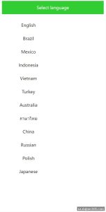Multi-Language Commission Mall with Auto Order Matching – Deployment Review & Layer Group Configuration