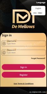 Overseas Mall Order Grabbing System with Preset Orders, Reset & Sign-in – UniApp + PHP Source Code